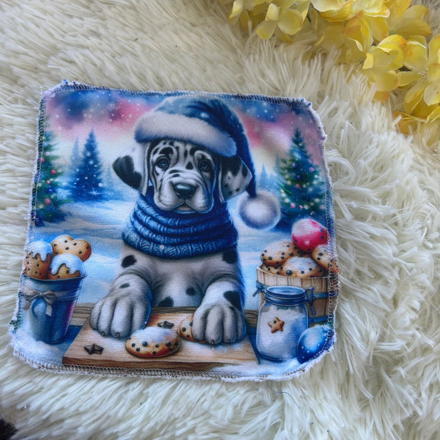 Débarbouillette chien hivers