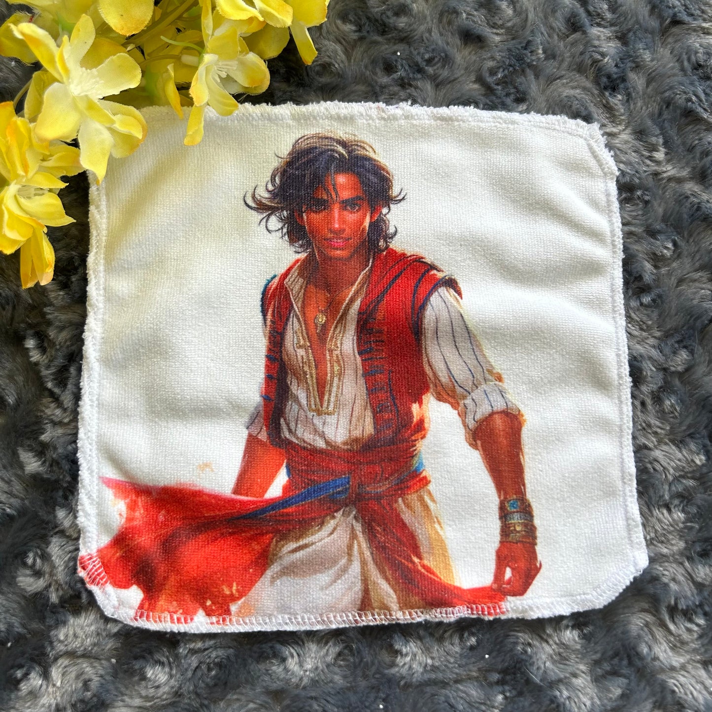 Debarbouillette aladin