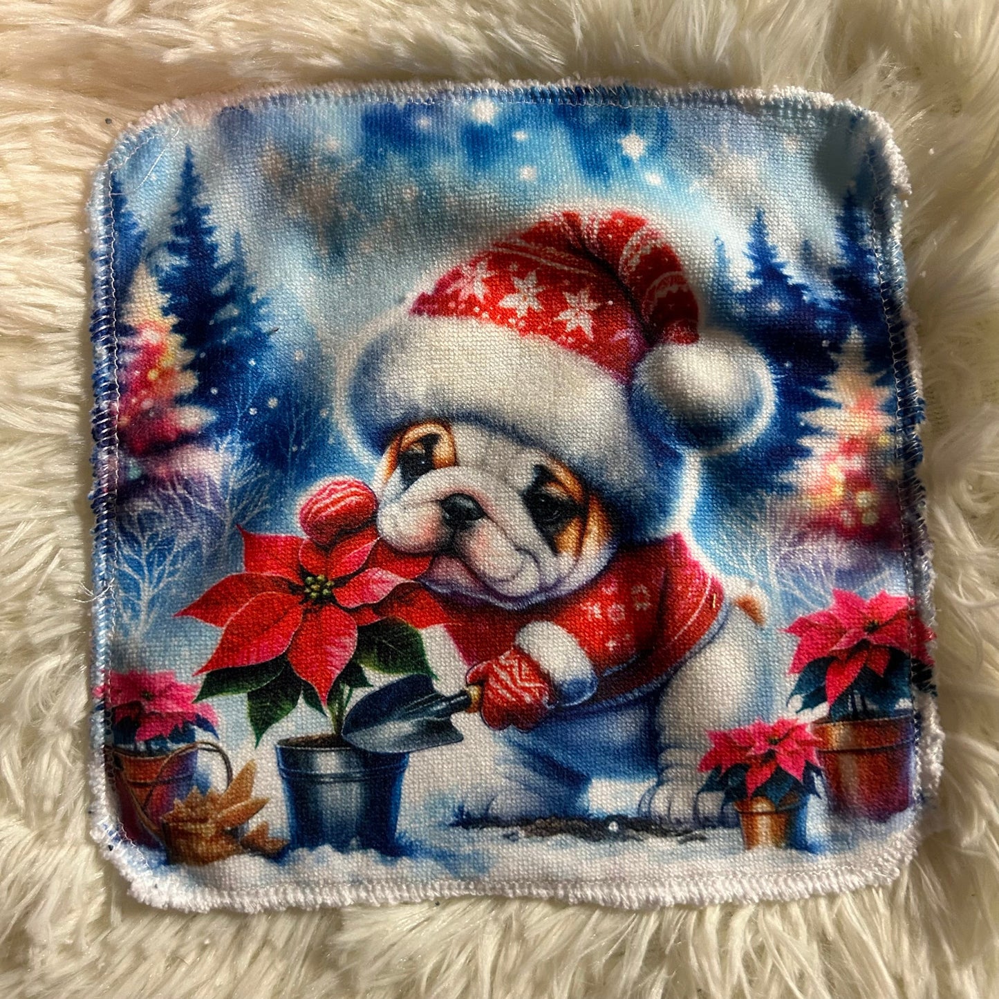 Débarbouillette chien hivers