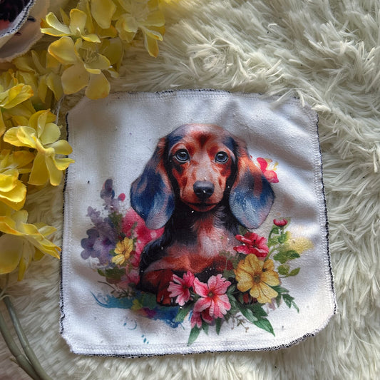 Debarbouillette chien teckel