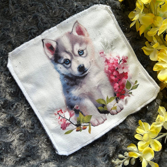 Débarbouillette husky chien