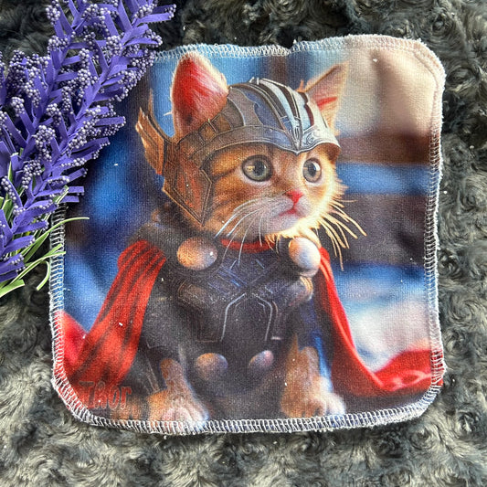 Debarbouillette chat super-heros